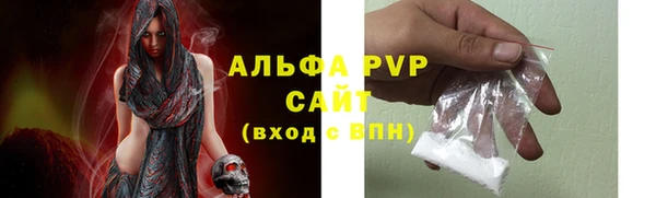 СК Абинск